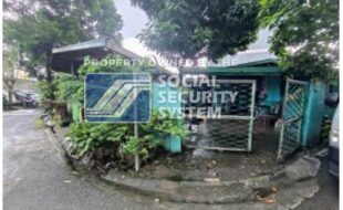 sss lot 2 sta. ana street cor. sto. nino street