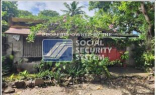 sss lot 3 block 12 florenceville subd brgy. pahanocoy bacolod