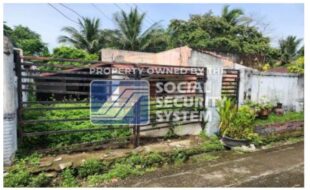 sss lot 871 b 8 i 3 i 6 guava st. arles subd alijis bacolod city