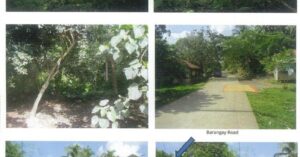 PDIC Foreclosed Agricultural - Vacant Lot: Lot 1425, Case 2, Plsm-787 (Ext.), Brgy. Villa Paz, Jovellar, Albay - Awaiting Bidding Schedule