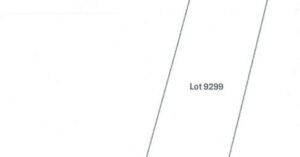 PDIC Foreclosed Residential/Agricultural - With Improvement: Lot 9299 (Lot 150135, Cad 496-D, Case 15)Brgy. Butubut Norte, Balaoan, La Union - For Negotiated Sale (Occupied)