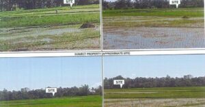PDIC Foreclosed Agricultural - Vacant Lot: Lot No. 661, PLS 920-D, Brgy. San Francisco, Lagonoy, Camarines Sur - For Negotiated Sale