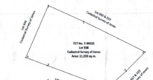 PDIC Foreclosed Agricultural - Vacant Lot: Lot 558 Cadastral Survey of Jones, Brgy. Payac, Jones, Isabela - For Negotiated Sale