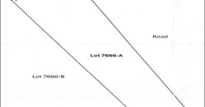 PDIC Foreclosed Agricultural - Vacant Lot: Lot 7666-A, (LRC) Psd-188857, Brgy. Linamanan, Jones, Isabela - For Negotiated Sale