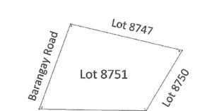 PDIC Foreclosed Residential - With Improvement: Lot No. 8751 Earth Street, Brgy. Pinagdilawan, Talim Island, Binangonan, Rizal - For Negotiated Sale (Occupied)
