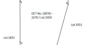 PDIC Foreclosed Agricultural - Vacant Lot: Lot 3350-Portion, Pls-44 (PHICUSA-FOA), Purok 6, Barangay Amaga, Barobo, Surigao Del Sur - For Public Bidding ( Thursday, April-23-2026 )
