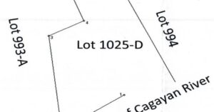 PDIC Foreclosed Residential - Vacant Lot: Lot 993-C, (LRC) Psd-210482, Brgy. San Vicente, Jones, Isabela - For Negotiated Sale (Occupied)