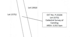 PDIC Foreclosed Agricultural - Vacant Lot: Lot 15751, Cadastral Survey of Camiling, Brgy. Bascay, Camiling, Tarlac - For Negotiated Sale
