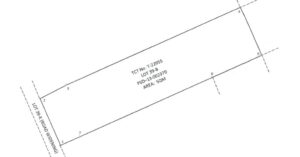 PDIC Foreclosed Agricultural - With Improvement: Lot No. 39-B, Psd-13-002370, Brgy. Trinidad (formerly Brgy. Luna), Surigao City, Surigao Del Norte - For Public Bidding ( Thursday, April-23-2026 ) (Occupied)