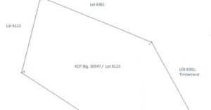 PDIC Foreclosed Agricultural - Vacant Lot: Lot 6123, Case 11, Cad. 783-D, Barangay Cawayan, Libagon, Southern Leyte - For Public Bidding ( Thursday, April-23-2026 )