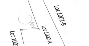 PDIC Foreclosed Residential - With Improvement: Lot 1002-A, (LRC) Psd-168706, Brgy. San Vicente (formerly Barrio Mangarutungut), Jones, Isabela - For Public Bidding ( Thursday, April-30-2026 ) (Occupied)