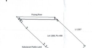 PDIC Foreclosed Agricultural - Vacant Lot: Lot 1306, Pls-498, Brgy. Taguranao, Matalam, North Cotabato - For Public Bidding ( Thursday, April-23-2026 )