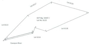 PDIC Foreclosed Agricultural - Vacant Lot: Lot 6115, Case 11, Cad. 783-D, Barangay Cawayan, Libagon, Southern Leyte - For Public Bidding ( Thursday, April-23-2026 )
