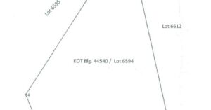 PDIC Foreclosed Agricultural - Vacant Lot: Lot 6594, Case 10, Cad 783-D, Barangay Biasong, Libagon, Southern Leyte - For Public Bidding ( Thursday, April-23-2026 )