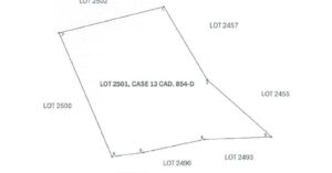 PDIC Foreclosed Agricultural - Vacant Lot: Lot 2501, Case 13, Cad 854-D, Barangay Maslog, Tomas Oppus, Southern Leyte - For Public Bidding ( Thursday, April-23-2026 )