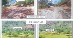 PDIC Foreclosed Agricultural - Vacant Lot: Lot 9, Blk. 5, Survey No. 10509, Brgy. Omaya, San Narciso, Zambales - For Public Bidding ( Thursday, April-30-2026 )