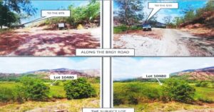 PDIC Foreclosed Agricultural - Vacant Lot: Lot No. 18, Blk. 0007, Survey No. 10480, Brgy Omaya, San Narciso, Zambales - For Public Bidding ( Thursday, April-30-2026 )