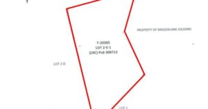 PDIC Foreclosed Residential - Vacant Lot: Lot 2-E-1, Psd-308712, Brgy. San Francisco, San Pablo, Laguna - For Public Bidding ( Thursday, April-30-2026 )