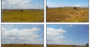PDIC Foreclosed Agricultural - Vacant Lot: Lot No. 2751, Brgy. Matagbac, Milagros, Masbate - Awaiting Bidding Schedule