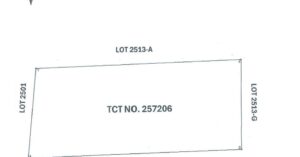 PDIC Foreclosed Residential - Vacant Lot: Lot No. 2513-B, Psd-01-042891, Brgy. Labit, Villasis, Pangasinan - Awaiting Bidding Schedule