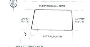 PDIC Foreclosed Agricultural - Vacant Lot: Lot 935 Pls-743, Sitio Dagangdang, Brgy. Colorado, Jabonga, Agusan Del Norte - Awaiting Bidding Schedule