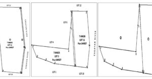 PDIC Foreclosed Agricultural - Vacant Lot: Lot 11, Psu-144927, Brgy. Disimpit, Jones, Isabela - Awaiting Bidding Schedule