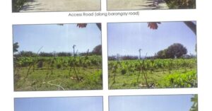 PDIC Foreclosed Agricultural - Vacant Lot: Lot No. 7664 A2, Barangay Butubut Oeste, Balaoan, La Union - Awaiting Bidding Schedule