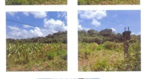 PDIC Foreclosed Agricultural - Vacant Lot: Lot No. 1576 pt. Sitio Cadanglaan, Barangay Lettac Norte, Santol, La Union - Awaiting Bidding Schedule