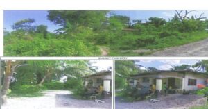 PDIC Foreclosed Agricultural - With Improvement: Cad Lot No. 6451 PART, Brgy. Tonggo, San Fernando, Cebu - Awaiting Bidding Schedule (Occupied)