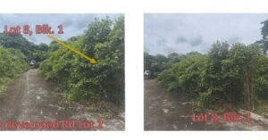 PDIC Foreclosed Residential - Vacant Lot: Lot 8, Blk 1 Pcs-04-026950, Brgy. Pahinga Norte, Candelaria, Quezon Province - Awaiting Bidding Schedule