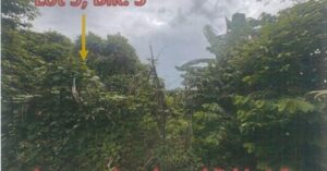 PDIC Foreclosed Residential - Vacant Lot: Lot 5, Blk. 3, Pcs-04-026950, Brgy. Pahinga Norte, Candelaria, Quezon Province - Awaiting Bidding Schedule