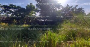 Pag-IBIG Foreclosed Lot Only - Lot 24 Blk. 5 DONA ROSARIO HEIGHTS PAYOMPON, MAMBURAO (CAPITAL), OCCIDENTAL MINDORO, 5106 - 2nd Public Auction on Mar. 30, 2026 - Apr. 3, 2026