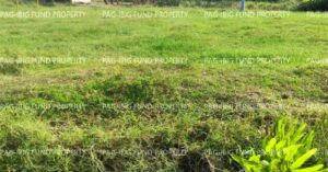 Pag-IBIG Foreclosed Lot Only - Lot 20 Blk. 7 DONA ROSARIO HEIGHTS PAYOMPON, MAMBURAO (CAPITAL), OCCIDENTAL MINDORO, 5106 - 2nd Public Auction on Mar. 30, 2026 - Apr. 3, 2026