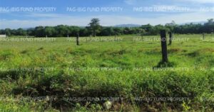 Pag-IBIG Foreclosed Lot Only - Lot 38 Blk. 2 DONA ROSARIO HEIGHTS PAYOMPON, MAMBURAO (CAPITAL), OCCIDENTAL MINDORO, 5106 - 2nd Public Auction on Mar. 30, 2026 - Apr. 3, 2026