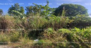 Pag-IBIG Foreclosed Lot Only - Lot 28 Blk. 5 DONA ROSARIO HEIGHTS PAYOMPON, MAMBURAO (CAPITAL), OCCIDENTAL MINDORO, 5106 - 2nd Public Auction on Mar. 30, 2026 - Apr. 3, 2026