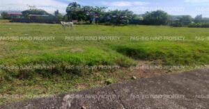 Pag-IBIG Foreclosed Lot Only - Lot 6 Blk. 9 DONA ROSARIO HEIGHTS PAYOMPON, MAMBURAO (CAPITAL), OCCIDENTAL MINDORO, 5106 - 2nd Public Auction on Mar. 30, 2026 - Apr. 3, 2026