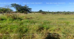Pag-IBIG Foreclosed Lot Only - Lot 23 Blk. 7 DONA ROSARIO HEIGHTS PAYOMPON, MAMBURAO (CAPITAL), OCCIDENTAL MINDORO, 5106 - 2nd Public Auction on Mar. 30, 2026 - Apr. 3, 2026