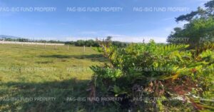Pag-IBIG Foreclosed Lot Only - Lot 39 Blk. 2 DONA ROSARIO HEIGHTS PAYOMPON, MAMBURAO (CAPITAL), OCCIDENTAL MINDORO, 5106 - 2nd Public Auction on Mar. 30, 2026 - Apr. 3, 2026