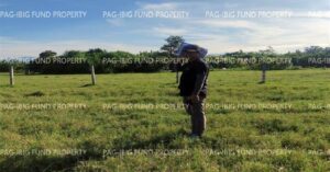 Pag-IBIG Foreclosed Lot Only - Lot 29 Blk. 2 DONA ROSARIO HEIGHTS PAYOMPON, MAMBURAO (CAPITAL), OCCIDENTAL MINDORO, 5106 - 2nd Public Auction on Mar. 30, 2026 - Apr. 3, 2026