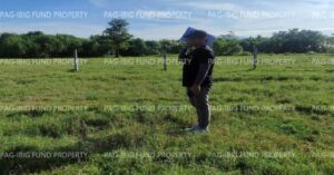 Pag-IBIG Foreclosed Lot Only - Lot 31 Blk. 2 DONA ROSARIO HEIGHTS PAYOMPON, MAMBURAO (CAPITAL), OCCIDENTAL MINDORO, 5106 - 2nd Public Auction on Mar. 30, 2026 - Apr. 3, 2026