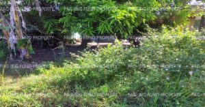 Pag-IBIG Foreclosed Lot Only - Lot 8 Blk. 7 DONA ROSARIO HEIGHTS PAYOMPON, MAMBURAO (CAPITAL), OCCIDENTAL MINDORO, 5106 - 2nd Public Auction on Mar. 30, 2026 - Apr. 3, 2026