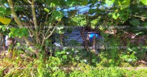 Pag-IBIG Foreclosed Lot Only - Lot 5 Blk. 5 DONA ROSARIO HEIGHTS PAYOMPON, MAMBURAO (CAPITAL), OCCIDENTAL MINDORO, 5106 - 2nd Public Auction on Mar. 30, 2026 - Apr. 3, 2026