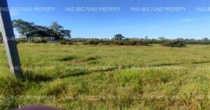 Pag-IBIG Foreclosed Lot Only - Lot 19 Blk. 7 DONA ROSARIO HEIGHTS PAYOMPON, MAMBURAO (CAPITAL), OCCIDENTAL MINDORO, 5106 - 2nd Public Auction on Mar. 30, 2026 - Apr. 3, 2026