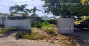 Pag-IBIG Foreclosed Lot Only - Lot 1 Blk. 5 DONA ROSARIO HEIGHTS PAYOMPON, MAMBURAO (CAPITAL), OCCIDENTAL MINDORO, 5106 - 2nd Public Auction on Mar. 30, 2026 - Apr. 3, 2026