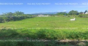 Pag-IBIG Foreclosed Lot Only - Lot 24 Blk. 9 DONA ROSARIO HEIGHTS PAYOMPON, MAMBURAO (CAPITAL), OCCIDENTAL MINDORO, 5106 - 2nd Public Auction on Mar. 30, 2026 - Apr. 3, 2026