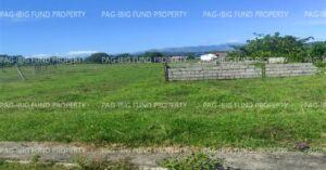 Pag-IBIG Foreclosed Lot Only - Lot 5 Blk. 11 DONA ROSARIO HEIGHTS PAYOMPON, MAMBURAO (CAPITAL), OCCIDENTAL MINDORO, 5106 - 2nd Public Auction on Mar. 30, 2026 - Apr. 3, 2026