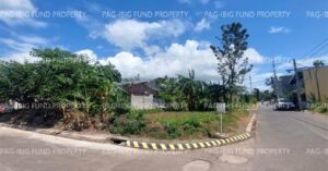 Pag-IBIG Foreclosed Lot Only - Lot 1 Blk. 5 IMPERIAL SOUTH MEADOWS SUBDIVISION SAN VICENTE, CITY OF STO. TOMAS, BATANGAS, 4234 - 2nd Public Auction on Mar. 30, 2026 - Apr. 3, 2026