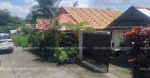 Pag-IBIG Foreclosed Single Detached - Lot 2 Phase I IMMANUEL SUBDIVISION II VETERAN S VILLAGE (RUIZ), IPIL (CAPITAL), ZAMBOANGA SIBUGAY, 7001 - 2nd Public Auction on Mar. 30, 2026 - Apr. 3, 2026 (Occupied)