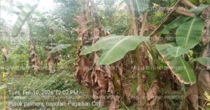 Pag-IBIG Foreclosed Lot Only - Lot 6016-C-4-C PUROK PALMERA NONE NAPOLAN, PAGADIAN CITY, ZAMBOANGA DEL SUR, 7016 - 2nd Public Auction on Mar. 30, 2026 - Apr. 3, 2026