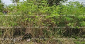 Pag-IBIG Foreclosed Lot Only - Lot 8 Blk. 8 Asinan PLEASANTVILLE SUBDIVISION BOALAN, ZAMBOANGA CITY, ZAMBOANGA DEL SUR, 7000 - Negotiated Sale on Mar. 30, 2026 - Apr. 10, 2026